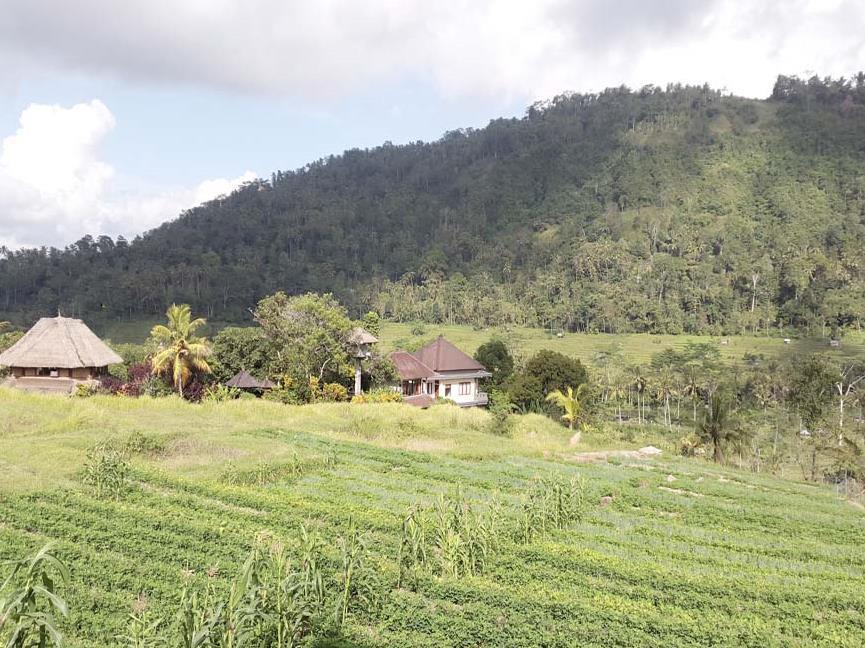 סיידמן Embang Homestay מראה חיצוני תמונה